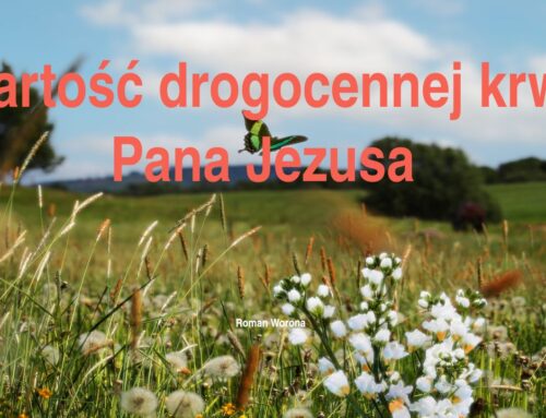 2025.10.05 | Wartość Drogocennej Krwi Pana Jezusa