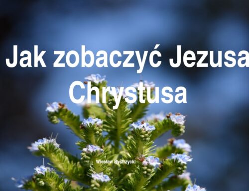 2026.02.01 | Jak zobaczyć Jezusa Chrystusa