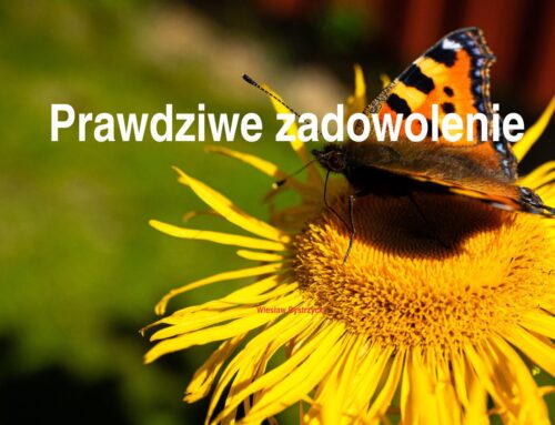 2026.03.22 | Prawdziwe zadowolenie