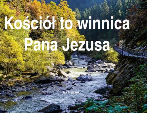 2026.06.14 | Kościół to winnica Pana Jezusa