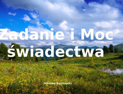 2026.08.02 | Zadanie i moc świadectwa